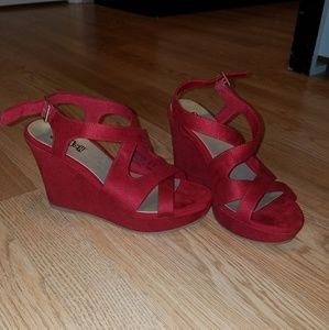 Red wedges